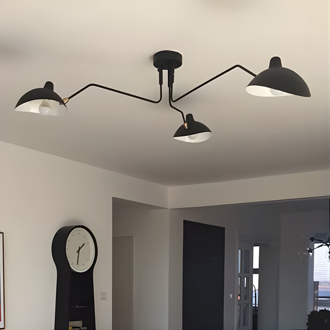 Charles Ceiling