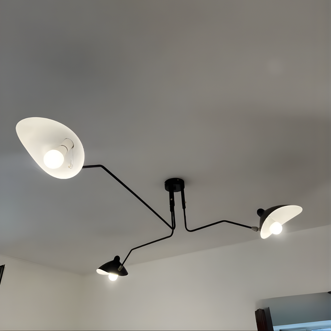 Charles Ceiling